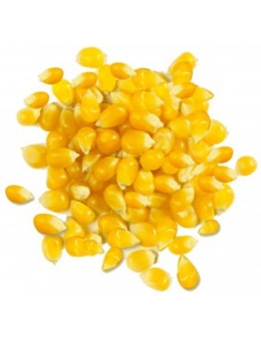 Giusto's Whole Yellow Corn (1x25LB )