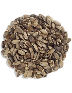 Frontier Herb Whole Milk Thistle Seed (1x1lb)