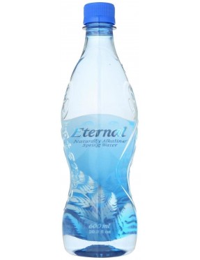 Eternal Artesian Water Water Pet (24x600ML )