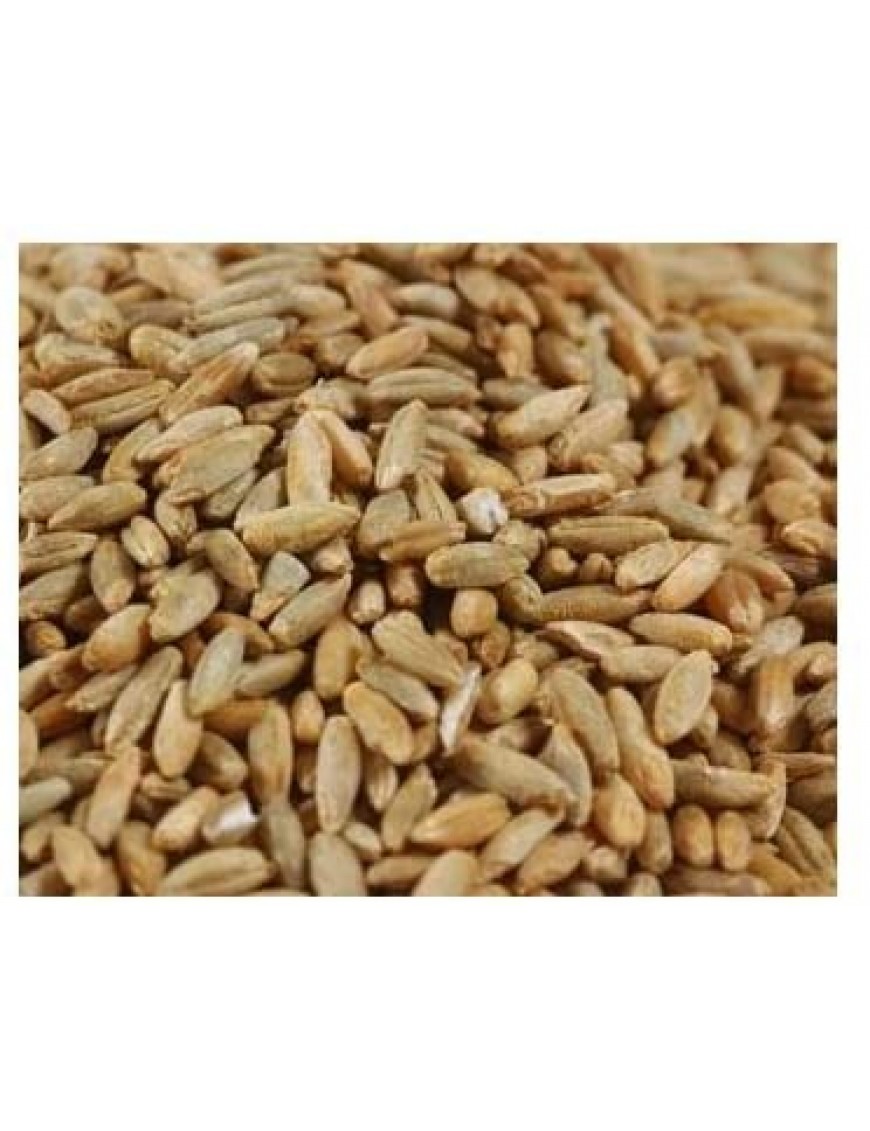 Grains Rye Berries (1x25LB )
