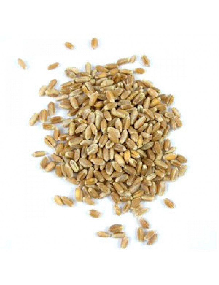 Grains Wheat Berries, 50-Pound