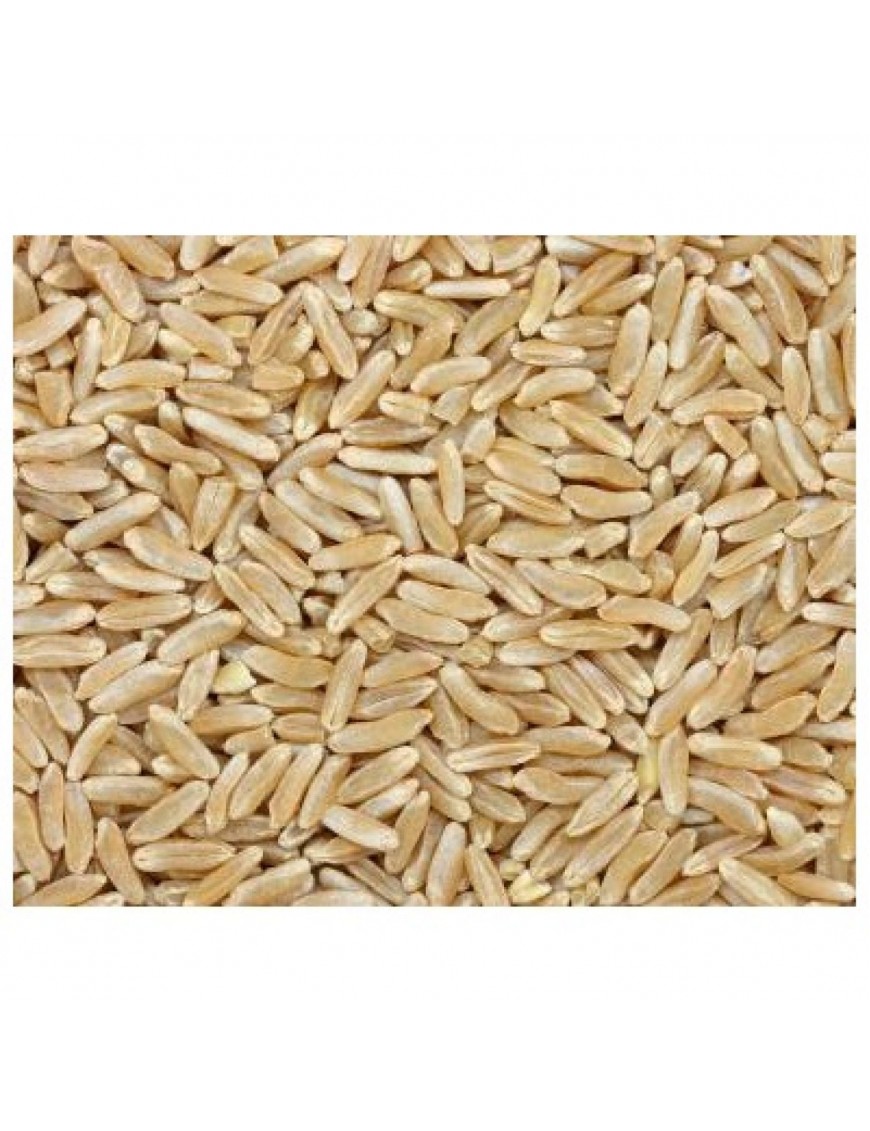 Grains Kamut Berries (1x25LB )Bulk Grains, 100% Organic Kamut Berries, 25 Lbs