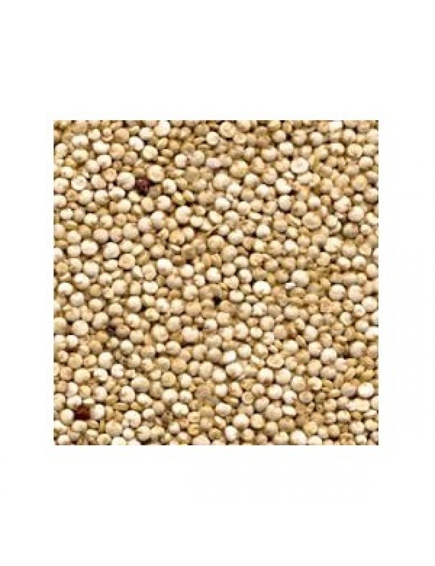Grains Quinoa Bulk (1x25LB )