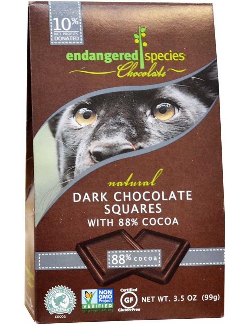 Endangered Species Bite Size Dark Chocolate Panther (6x10 CT)