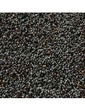 Seeds Poppy Seeds (1x5LB )