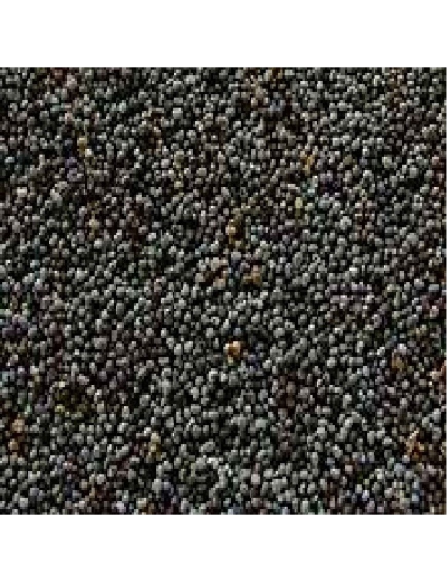 Seeds Poppy Seeds (1x5LB )